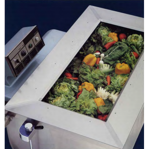 Vegetable washer VIR T