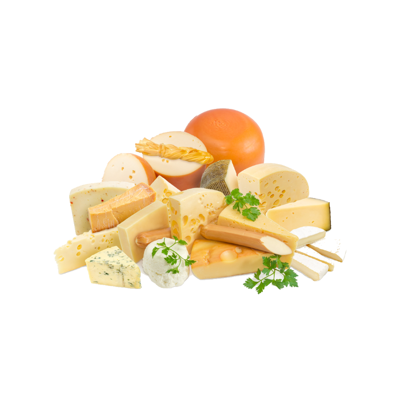 Chaleira para queijo SP Profi 300