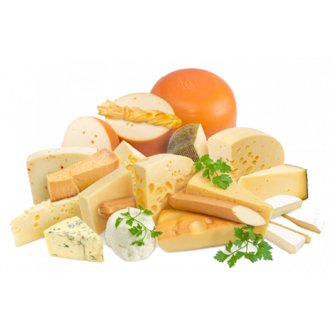 Bouilloire à fromage SP Profi 300