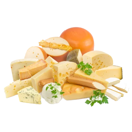 Hervidor de queso SP Profi