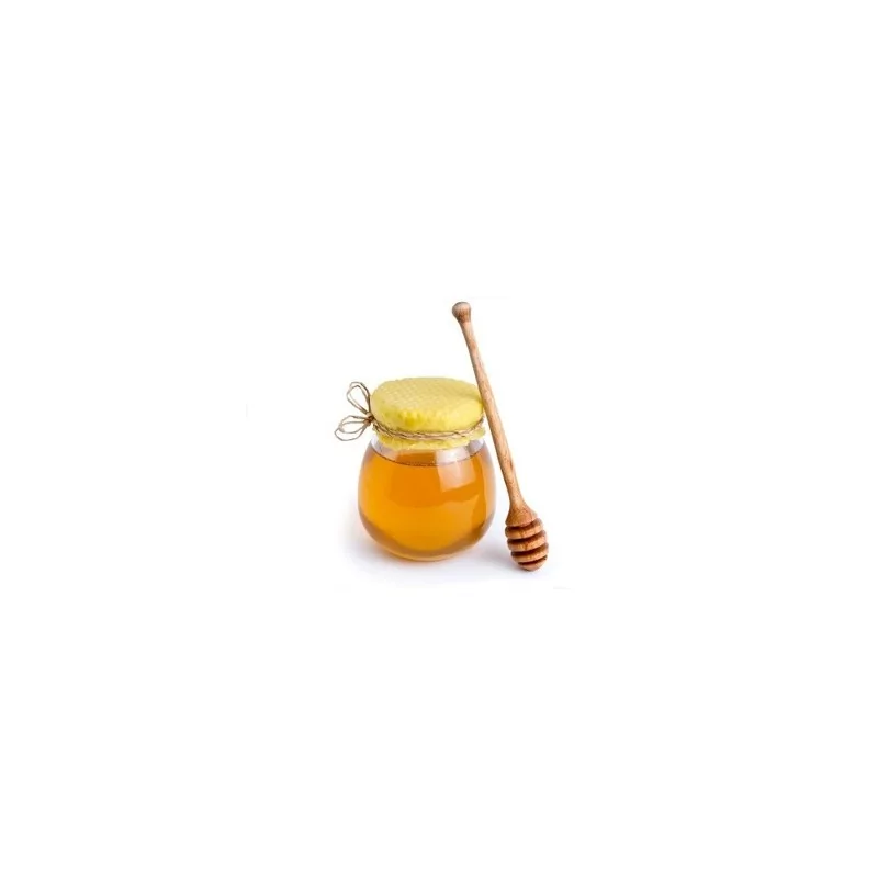Mélangeur / homogénéisateur de miel VPL