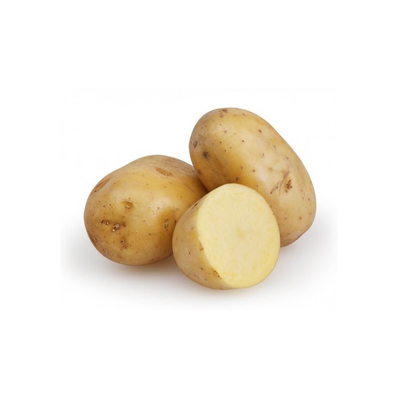 potato potato