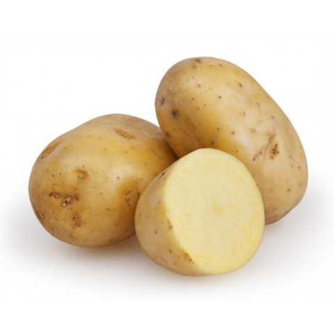 potato potato