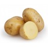potato potato
