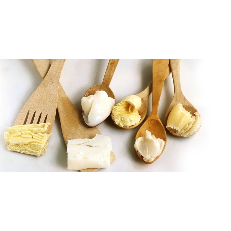 Omogeneizzatore/rielaboratore di burro congelato FBHG