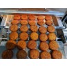 Forno compatto a cottura continua per falafel