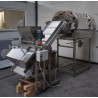 Salting machine (equipment for dispensing dry ingredients)