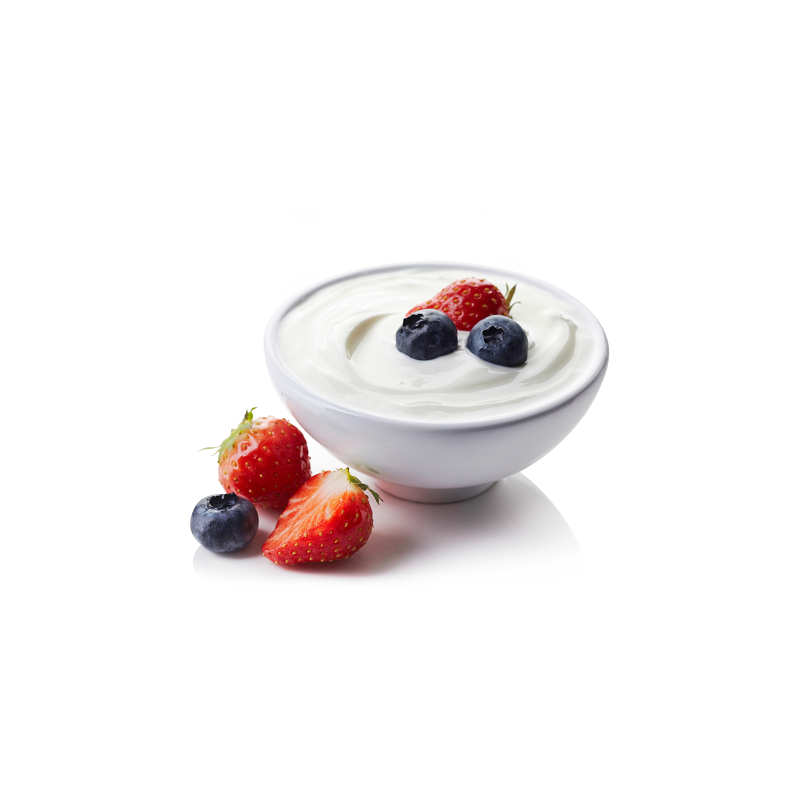 Omogeneizzatore a vuoto VMG NS 300-650