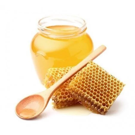 Honey Tensometric Filling Machine AP
