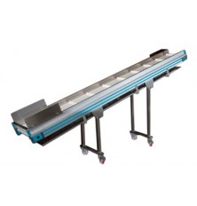 Fruit and vegetable inspection conveyor