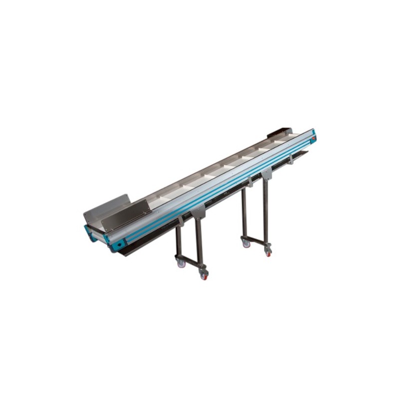 Fruit and vegetable inspection conveyor