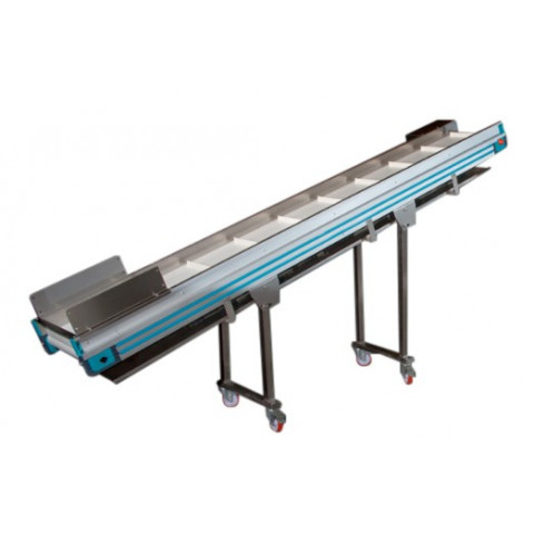 Fruit and vegetable inspection conveyor