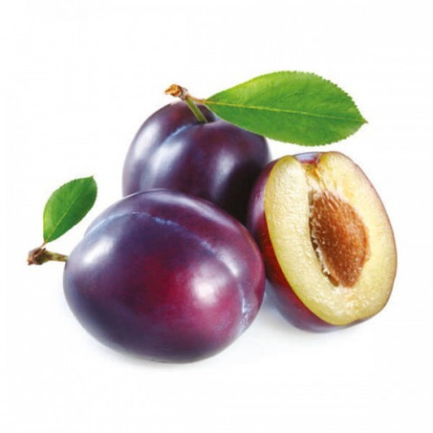 Stroj na odpeckování švestek a meruněk