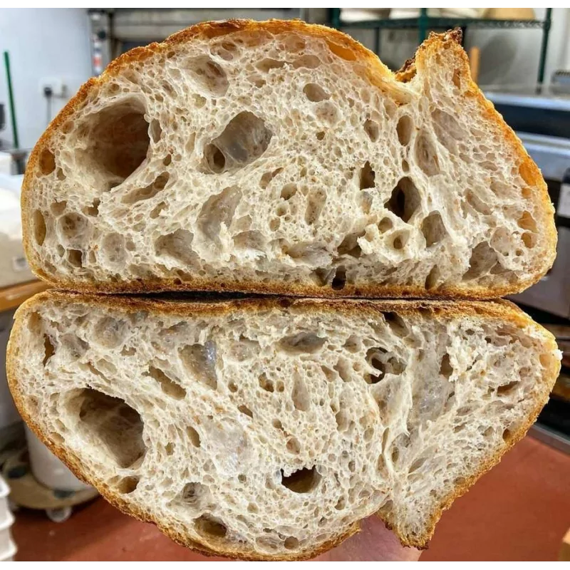 Laboratorio di raffreddamento sottovuoto per pane e pasticceria