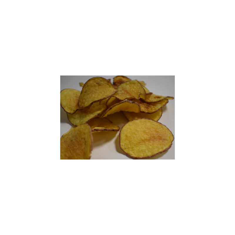 Friteuse sous vide Idealfry Vac 20L