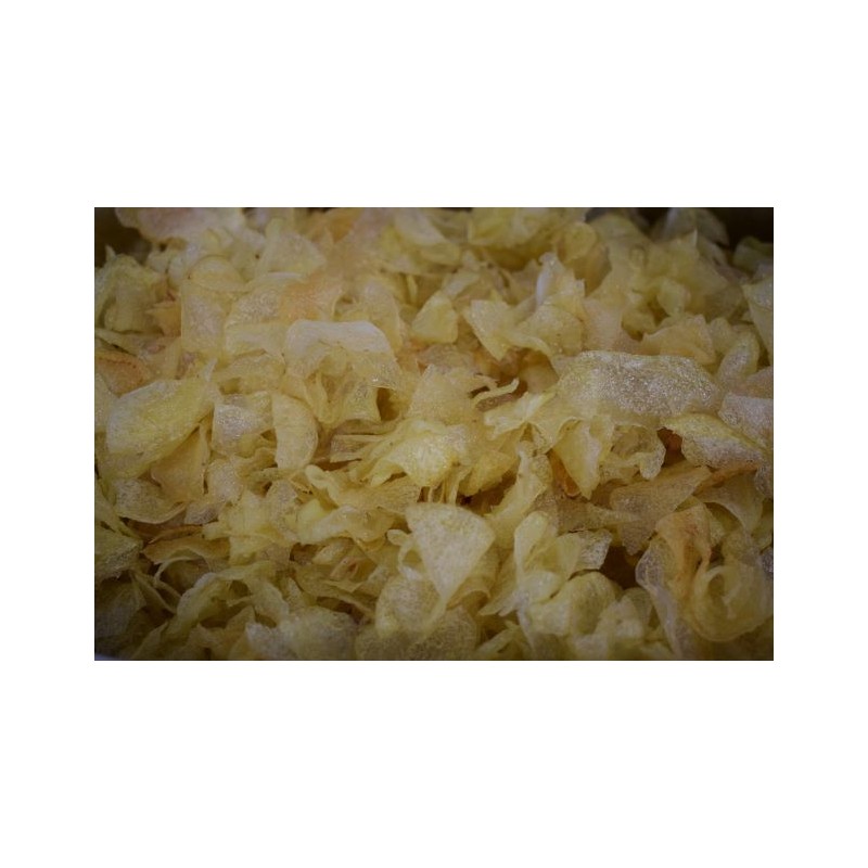 Friteuse met schoepen voor friet en snacks 400/1100/12