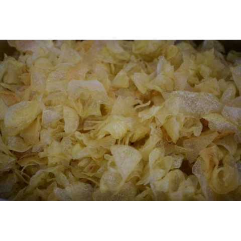 Friteuse met schoepen voor friet en snacks 400/1100/12