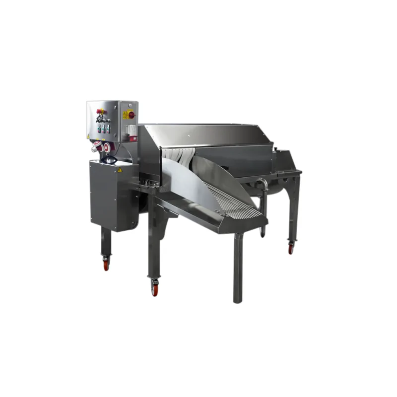 fruit washing equipment