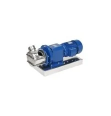 Rotary pump with flexible impeller and gearmotor