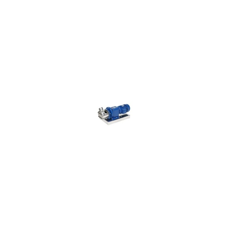 Rotary pump with a flexible impeller and gearmotor Rotary pump with a flexible impeller and gearmotor