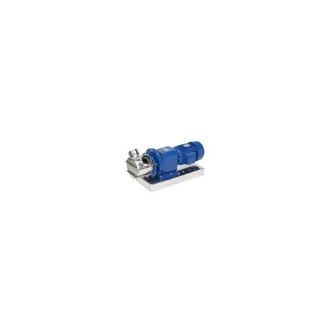 Rotary pump with a flexible impeller and gearmotor Rotary pump with a flexible impeller and gearmotor