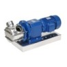 Rotary pump with a flexible impeller and gearmotor Rotary pump with a flexible impeller and gearmotor