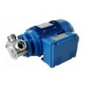 Rotary pump for oil