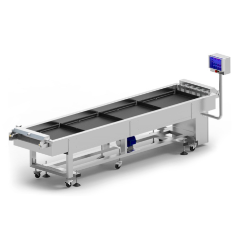 Continuous blanching system ConF 600/3000