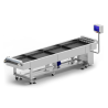 Continuous blanching system ConF 600/3000