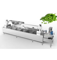 Continuous vegetable blancher SnackPro