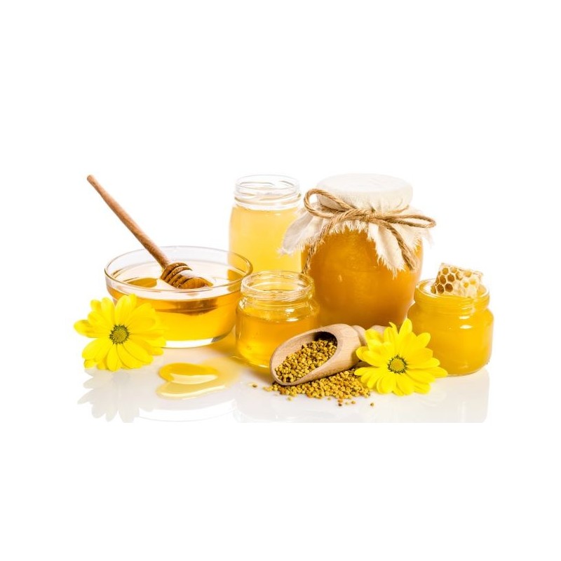 Flow pasteurizer for honey