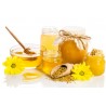 Flow pasteurizer for honey