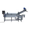 continuous fryer for onions, nuts and other products