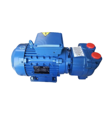 Rotary liquid ring vacuum pump