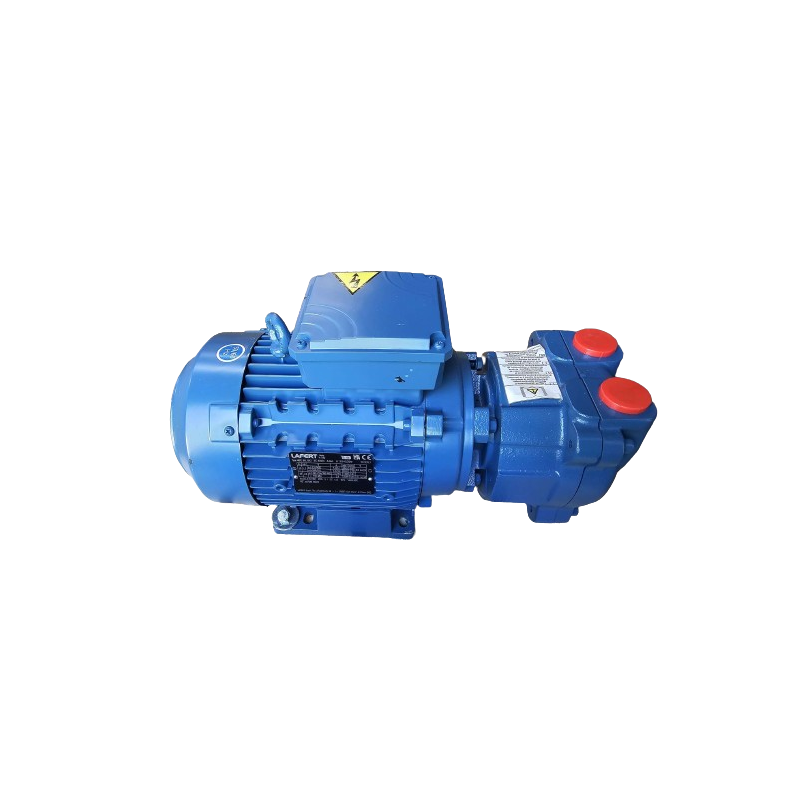 Rotary liquid ring vacuum pump