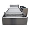 Continuous deep fryer for semi-finished goods