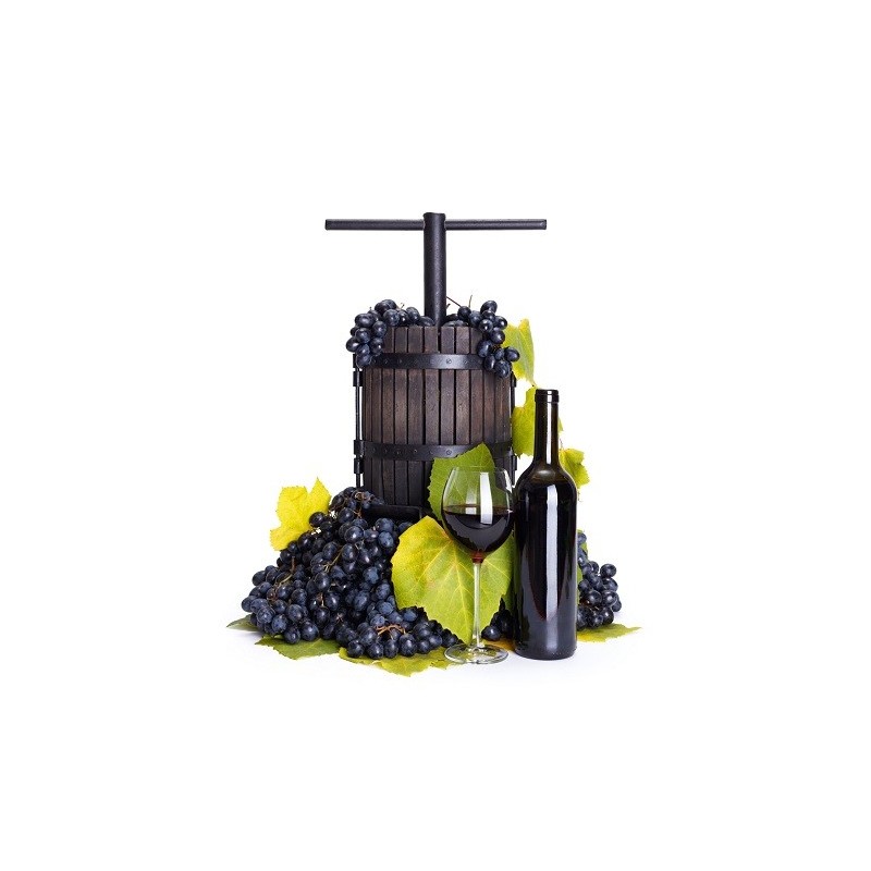 Pneumatic press for fruits PGG