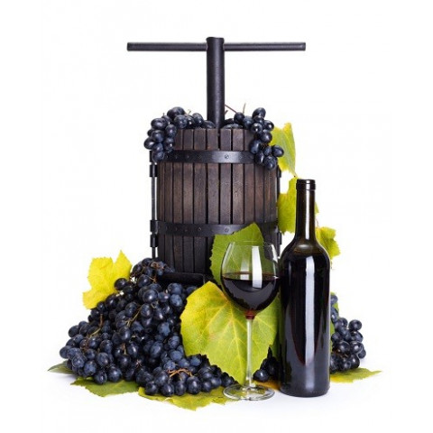 Pneumatic press for fruits PGG