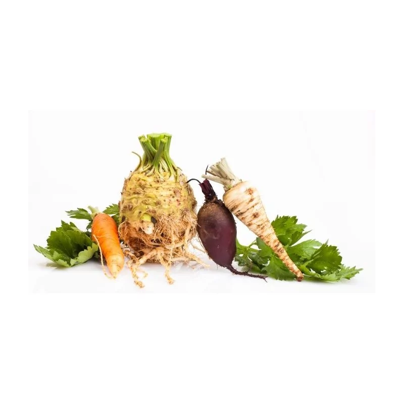 Schneidemaschine für Gemüse und Obst EasyCut