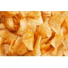 Chips fryer SnackPro 400x1100 mm