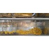Marmite de cuisson pour l'industrie agroalimentaire C&C 250/175