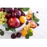 Fruit ontpulper