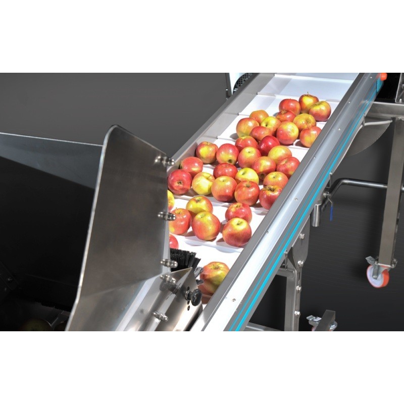 conveyor for apples