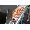 conveyor for apples