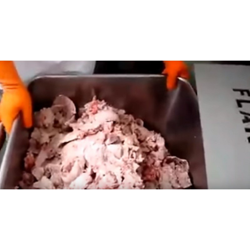 Frozen meat flaker LAF 300