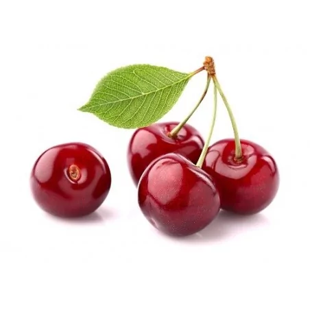 cherries for the fruit destoner