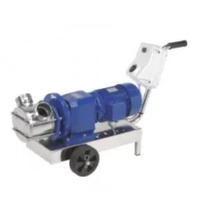 rotary pump with gearmotor