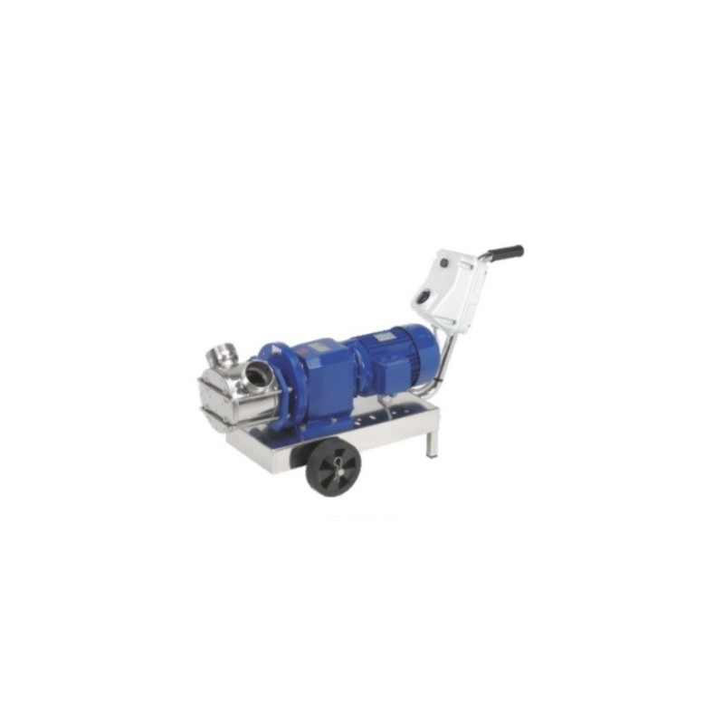 Rotary impeller pump with a gearmotor Rotary impeller pump with a gearmotor