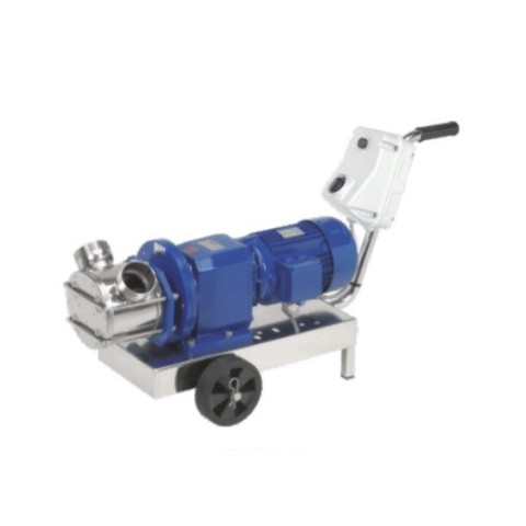 Rotary impeller pump with a gearmotor Rotary impeller pump with a gearmotor