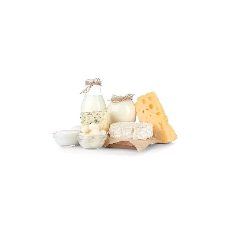 Cheese Vat / Pasteurizer MIP CH